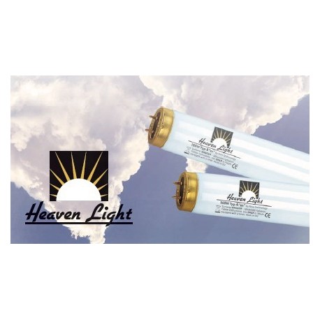 Heaven Light by New Technology 8W Typ B cs 8 8-O-71/73,0