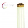 RAINBOW Light EXTREME yellow 160W -R-130/16,5 800-1000h