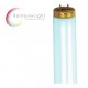 RAINBOW Light PLUS blue 180W 1,90m EVG** 180-R-65/5,1 800-1000h